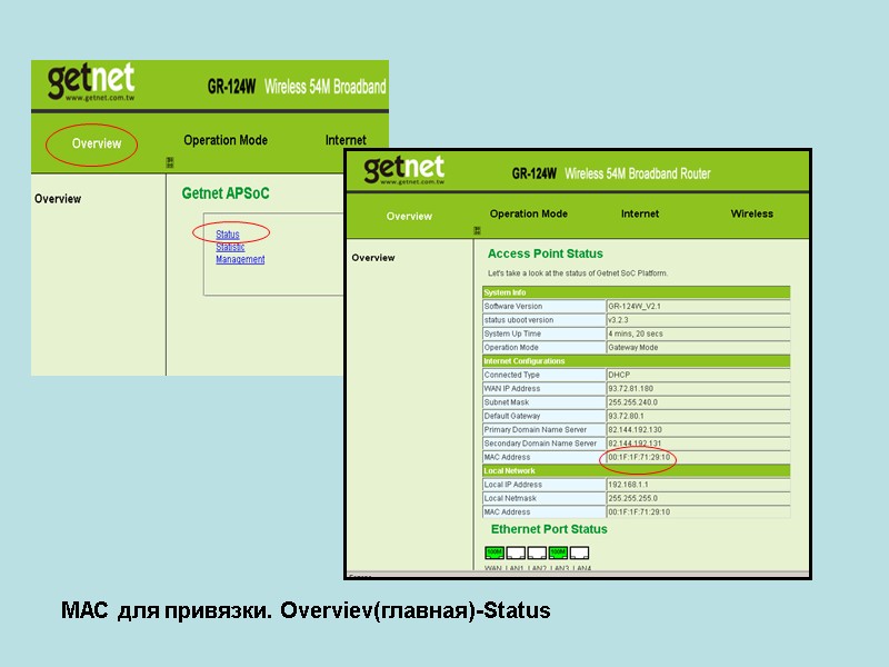 МАС для привязки. Overviev(главная)-Status